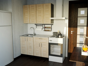 Кухонный гарнитур Ника лайт 1200 мм в Тавде - tavda.magazinmebel.ru | фото - изображение 1