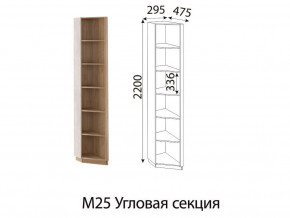 М25 Угловая секция в Тавде - tavda.magazinmebel.ru | фото