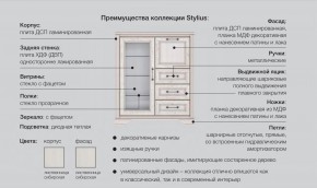 Прихожая модульная Стилиус в Тавде - tavda.magazinmebel.ru | фото - изображение 2