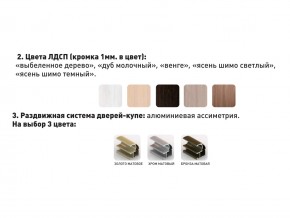Шкаф-купе Акцент-Сим Д 1000-600 шимо тёмный в Тавде - tavda.magazinmebel.ru | фото - изображение 3